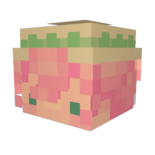 SeniorTacos Minecraft avatar head, 3D render