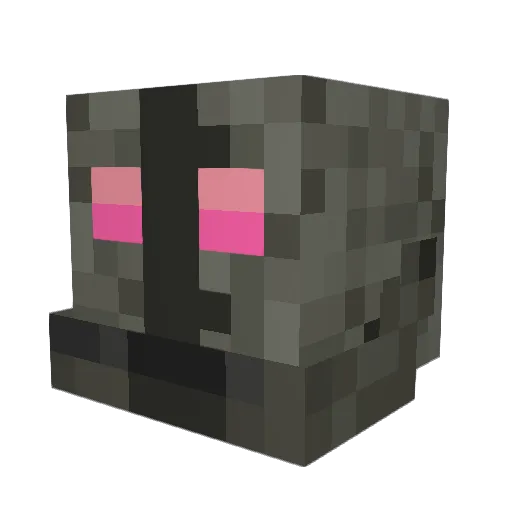 Senior_meatbox Minecraft avatar head, 3D render