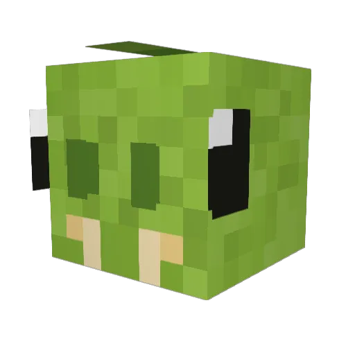Seniority Minecraft avatar head, 3D render