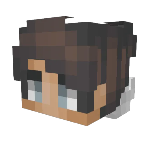 Seniorles Minecraft avatar head, 3D render