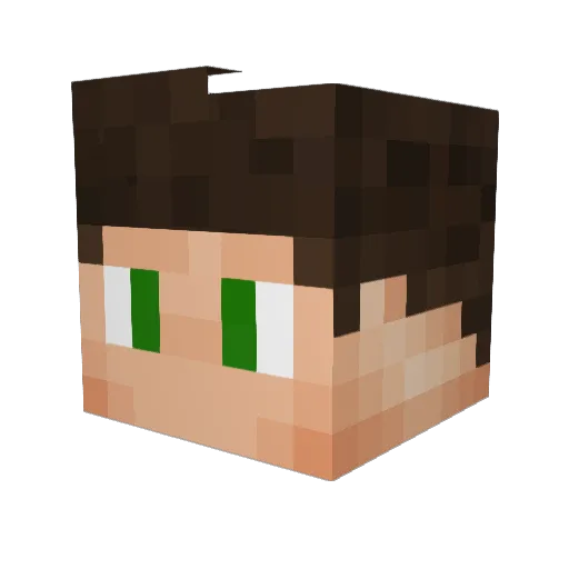 Senix22202 Minecraft avatar head, 3D render
