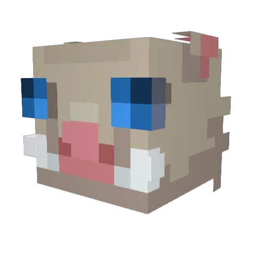 Senju_PL Minecraft avatar head, 3D render