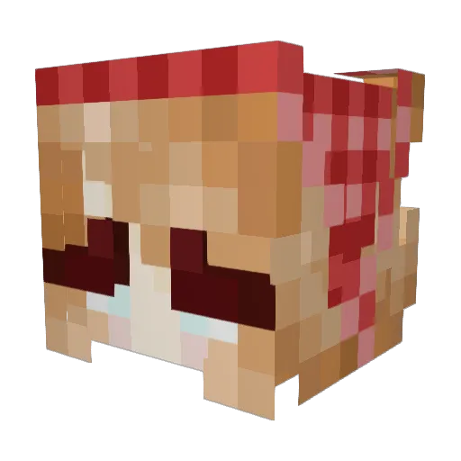 SenkaBean Minecraft avatar head, 3D render