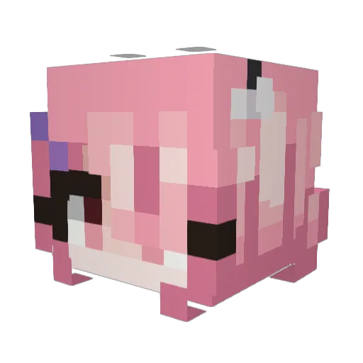 Senket Minecraft avatar head, 3D render