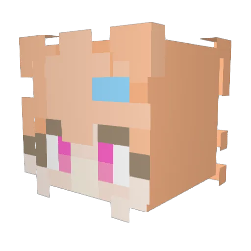 Senliy_1 Minecraft avatar head, 3D render