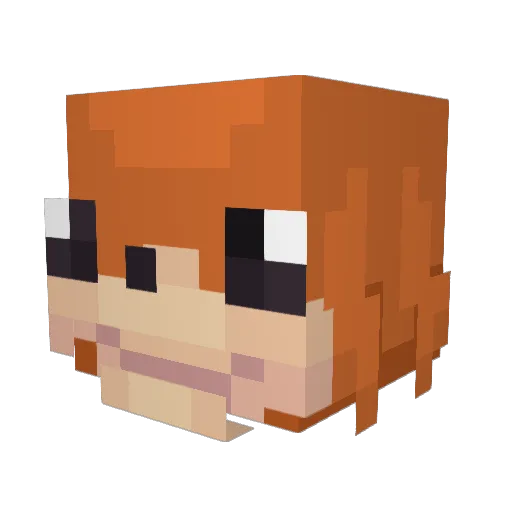 SennB Minecraft avatar head, 3D render