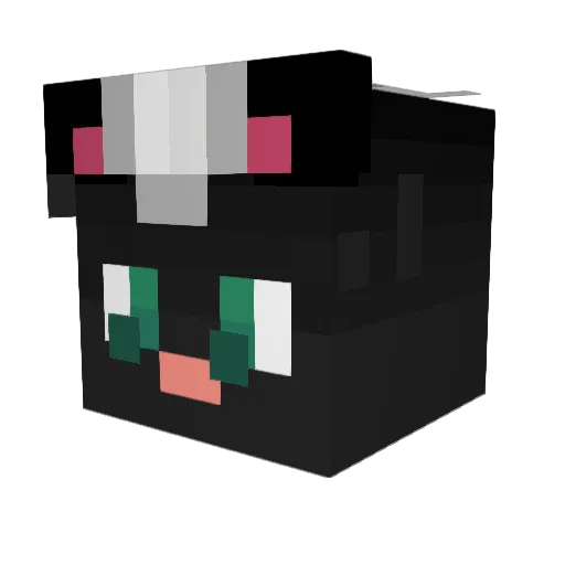 SennaXe Minecraft avatar head, 3D render