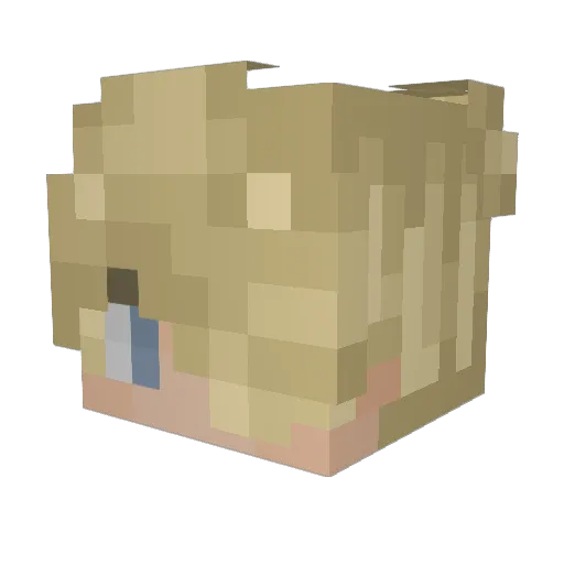 Senna_Bees Minecraft avatar head, 3D render