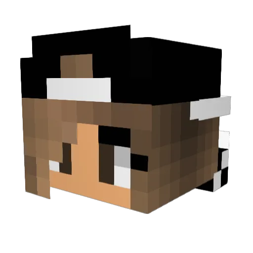 Sennaatje12 Minecraft avatar head, 3D render
