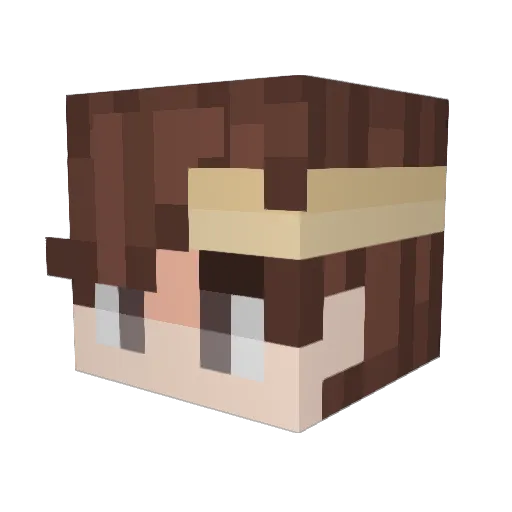 Senney_ Minecraft avatar head, 3D render