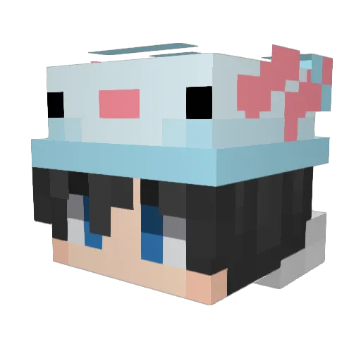 Sennyss Minecraft avatar head, 3D render