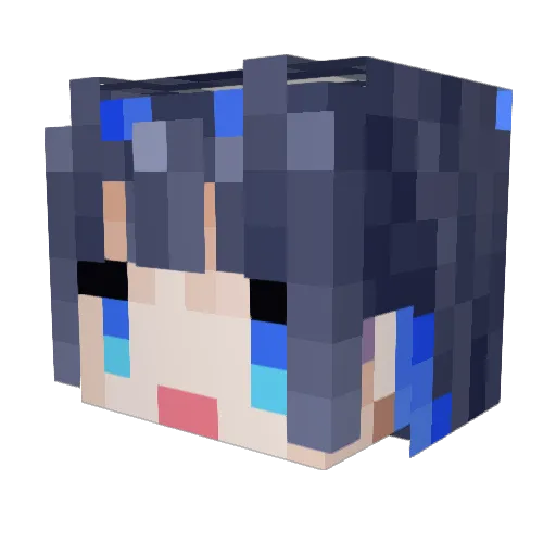 SenomyNix Minecraft avatar head, 3D render