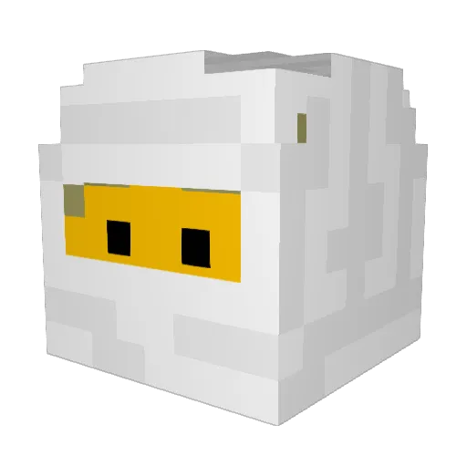 SenorBoon Minecraft avatar head, 3D render
