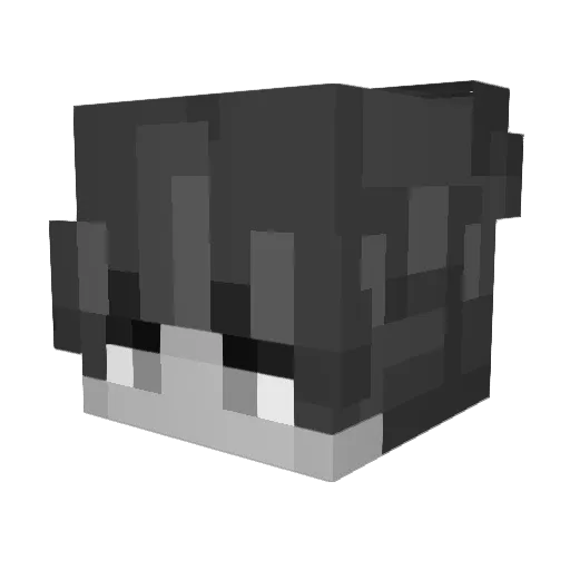 SenorChungus Minecraft avatar head, 3D render