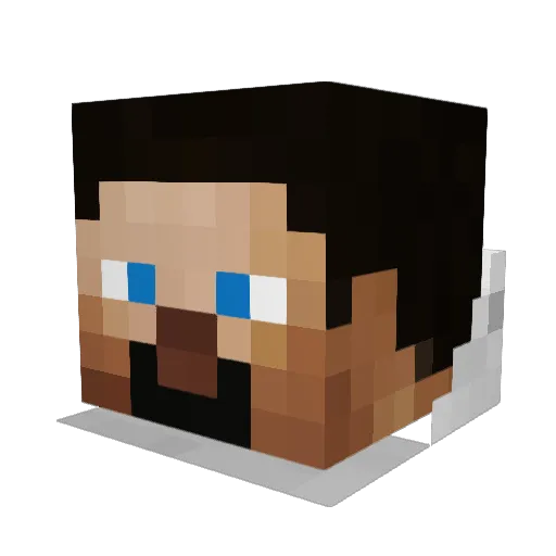 SenorZoidberg Minecraft avatar head, 3D render