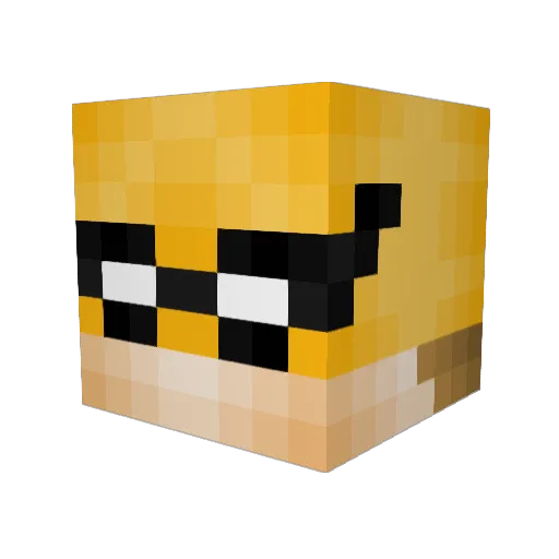 Senor_Bean81 Minecraft avatar head, 3D render