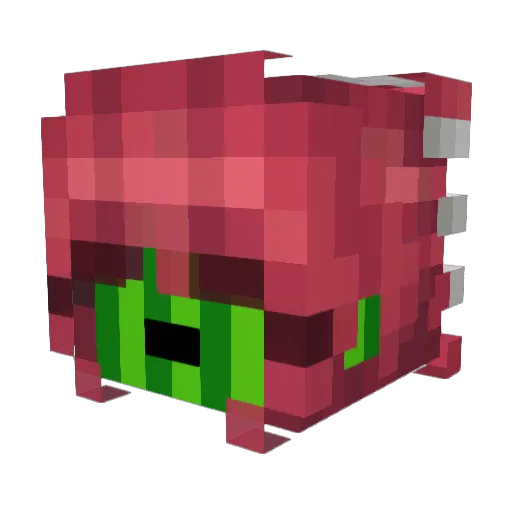 Senor_Melon Minecraft avatar head, 3D render
