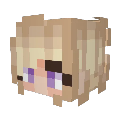 Senor_Mojo Minecraft avatar head, 3D render