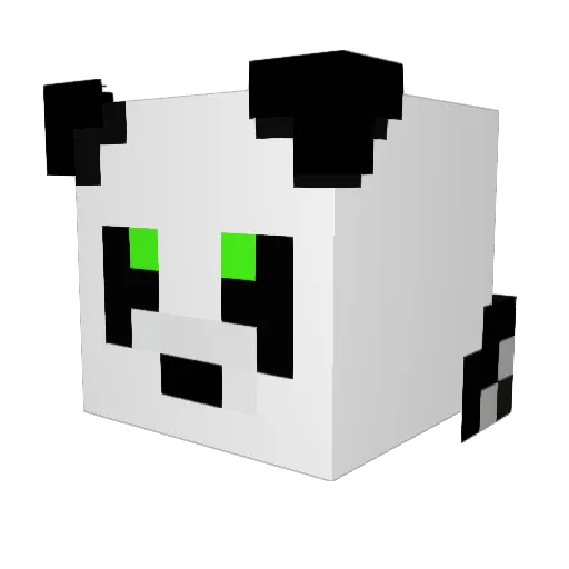 Senor_Panda_95 Minecraft avatar head, 3D render