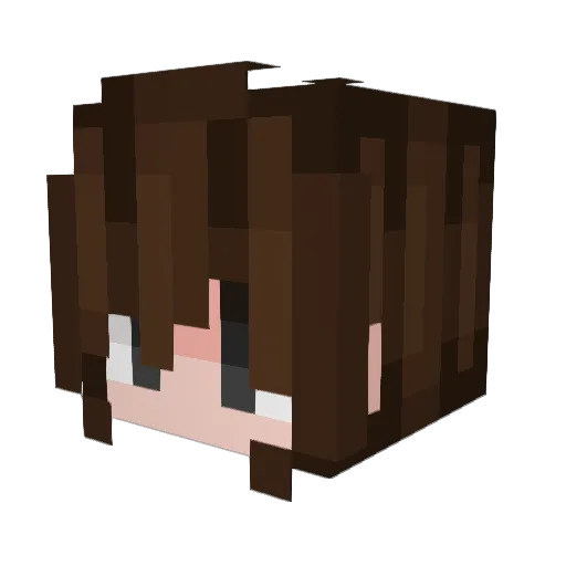 Senpa1 Minecraft avatar head, 3D render