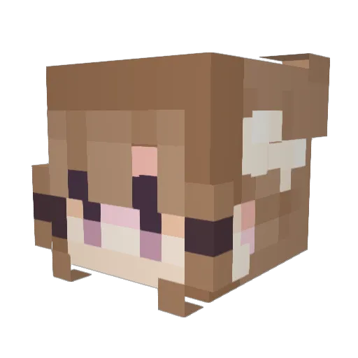 SenpaiElli Minecraft avatar head, 3D render