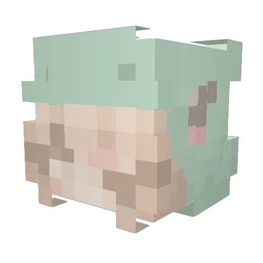 SenpaiLinaNya Minecraft avatar head, 3D render