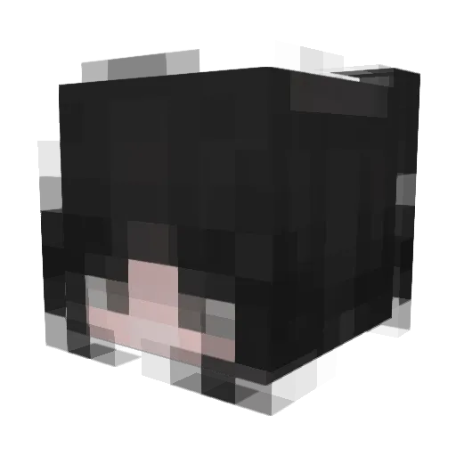 SenpaiTrash Minecraft avatar head, 3D render