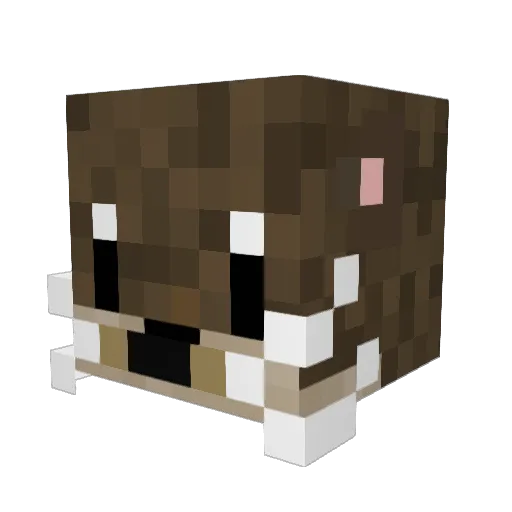 Senpai_Fish Minecraft avatar head, 3D render