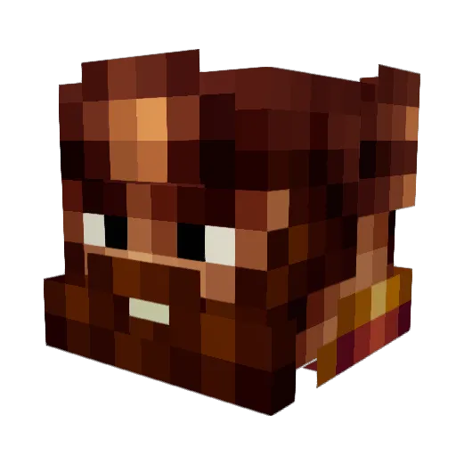 Senpai_StarZy Minecraft avatar head, 3D render