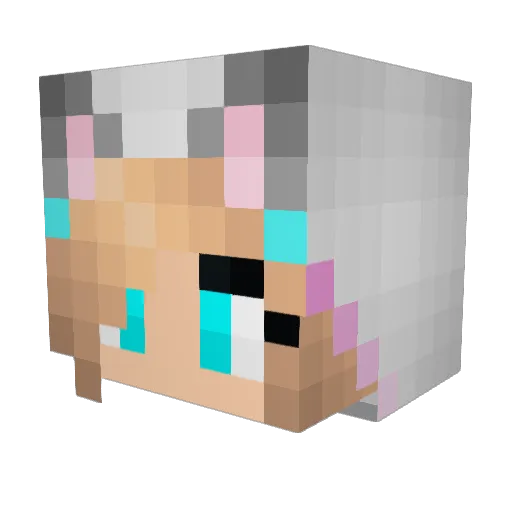Senpai_chan Minecraft avatar head, 3D render