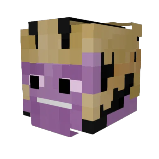 Senpaix12 Minecraft avatar head, 3D render