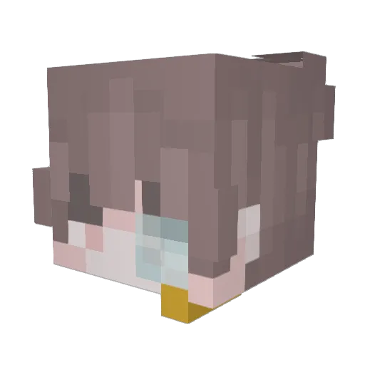 Senrisushi Minecraft avatar head, 3D render