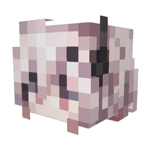 Sens1x Minecraft avatar head, 3D render