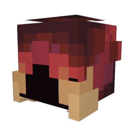 SensationalO Minecraft avatar head, 3D render