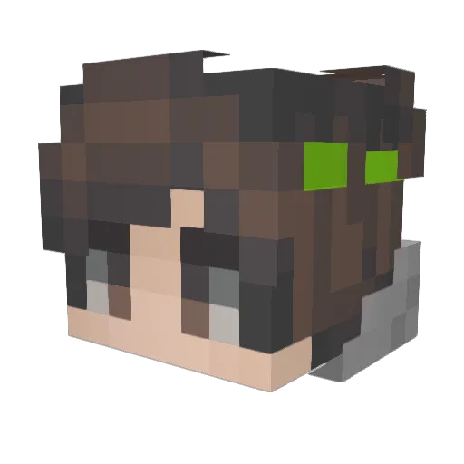 Sensect Minecraft avatar head, 3D render