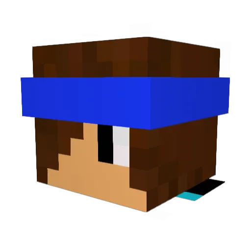 Sensei5112 Minecraft avatar head, 3D render