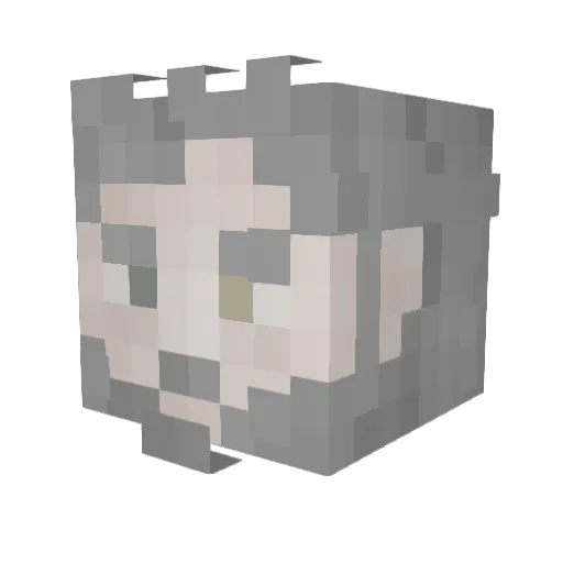SenseiDoge1 Minecraft avatar head, 3D render