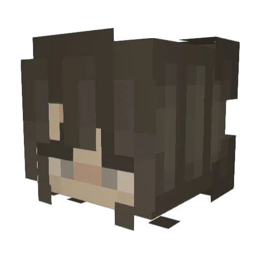 SenseiLunacy Minecraft avatar head, 3D render