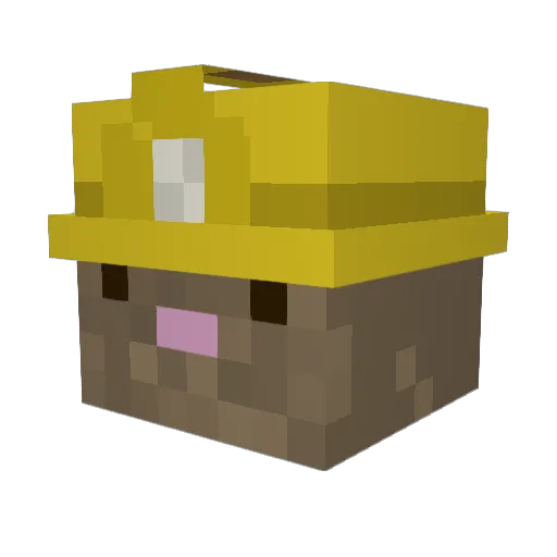 SenseiMole Minecraft avatar head, 3D render