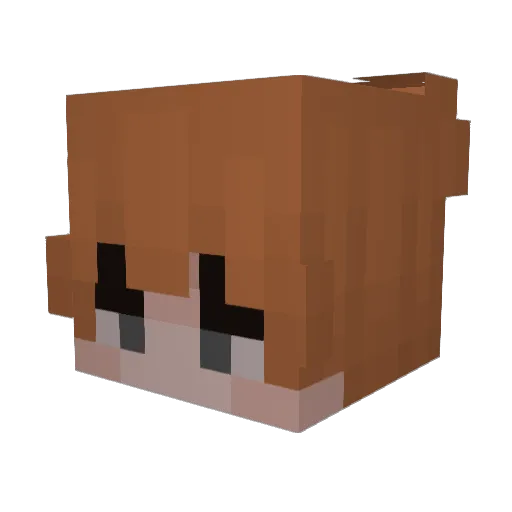 SenseiNatsuu Minecraft avatar head, 3D render