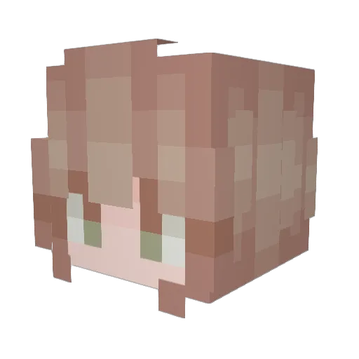 SenseiNic Minecraft avatar head, 3D render