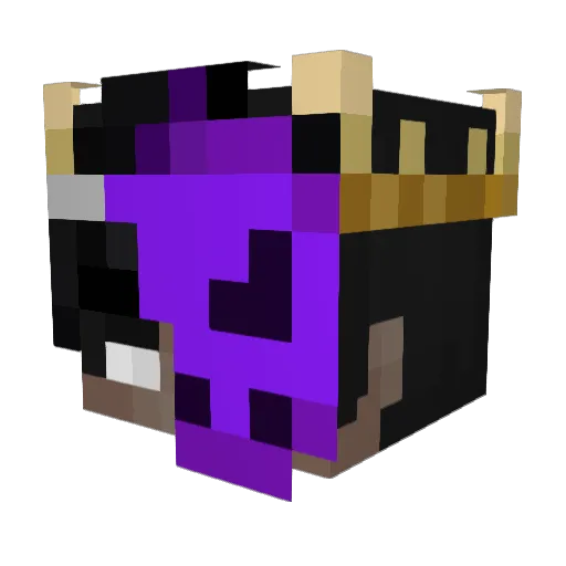 SenseiPlayz_ Minecraft avatar head, 3D render