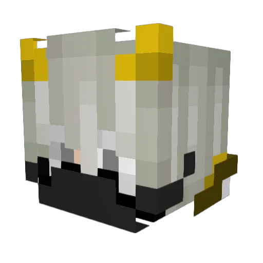 SenseiRG Minecraft avatar head, 3D render