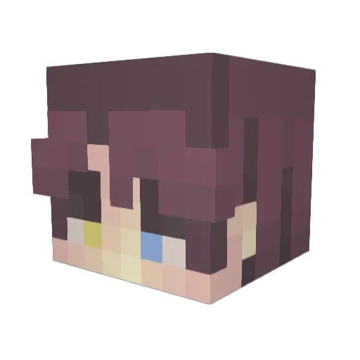 SenseiStubbs Minecraft avatar head, 3D render