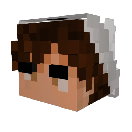 Sensei_1 Minecraft avatar head, 3D render