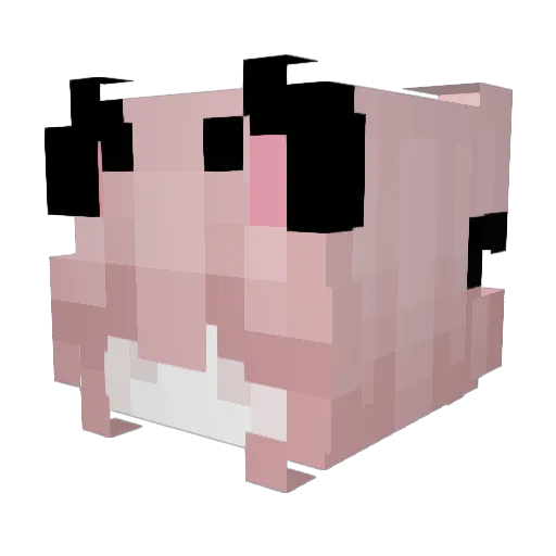 Sensei_Jaro Minecraft avatar head, 3D render
