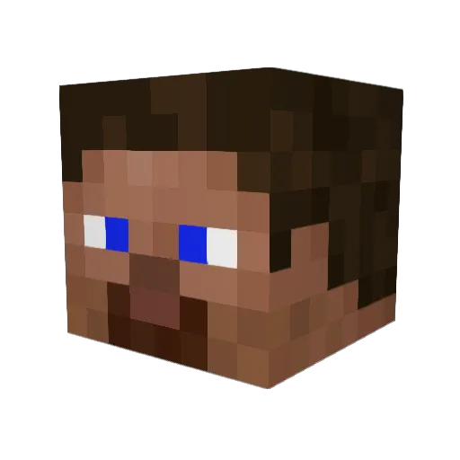 Sensei_NoNo Minecraft avatar head, 3D render