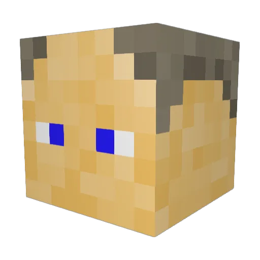 Sensei_Travis Minecraft avatar head, 3D render