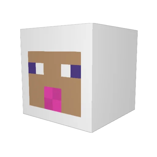 Senseiad4847 Minecraft avatar head, 3D render