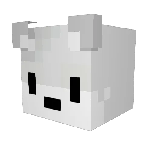 Senseifluffy Minecraft avatar head, 3D render